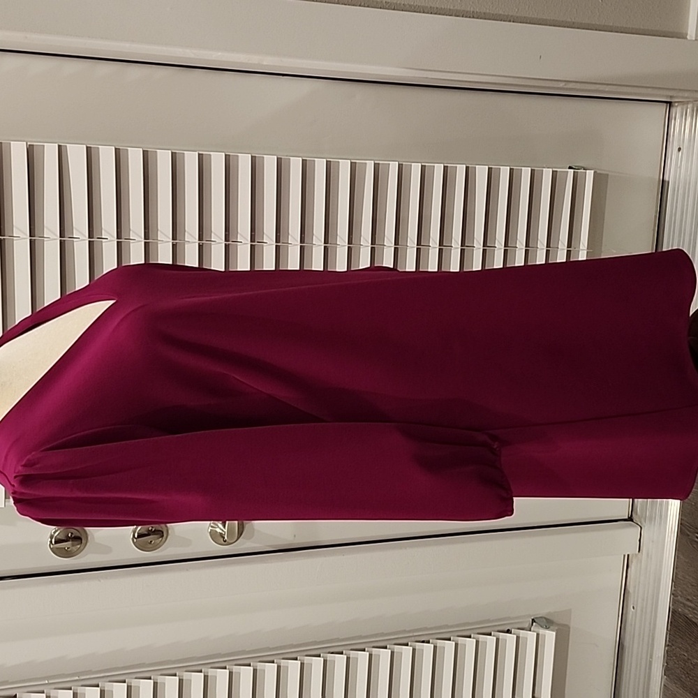 ALEXIA ADMOR Shift Dress, XL, Raspberry - Picture 4 of 14